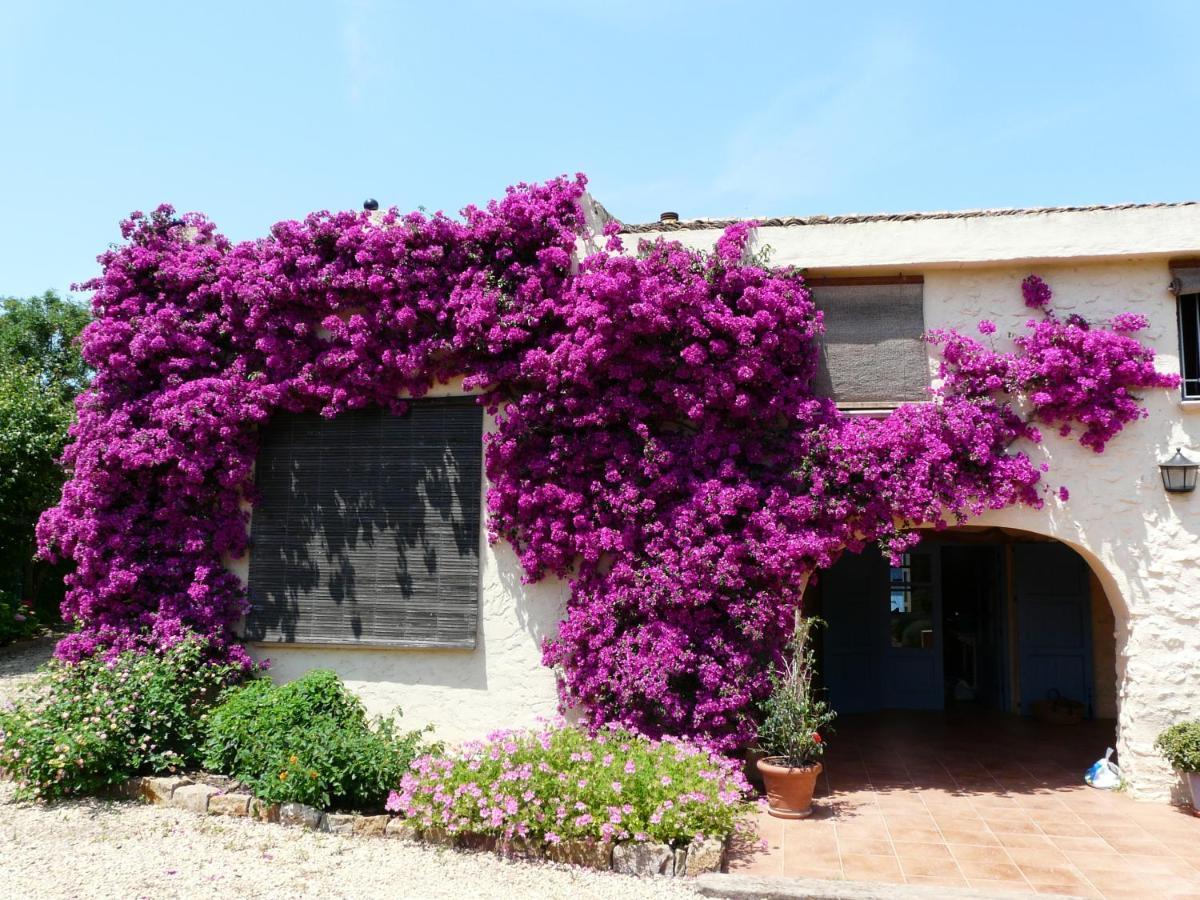 Casa Rural Con Encanto, 4 Hab Con 4 Banos Completos En Suite, Piscina Y Campo Privado Pedreguer Esterno foto